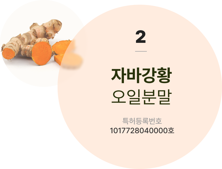 자바강황 오일분말 특허등록번호 1017728040000호