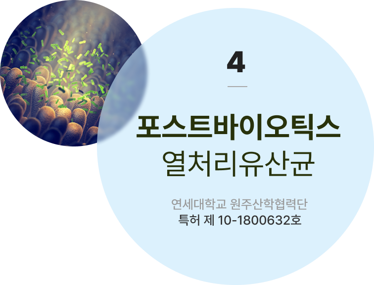 포스트바이오틱스 열처리유산균 연세대학교 원주산학협력단 특허 제 10-1800632호